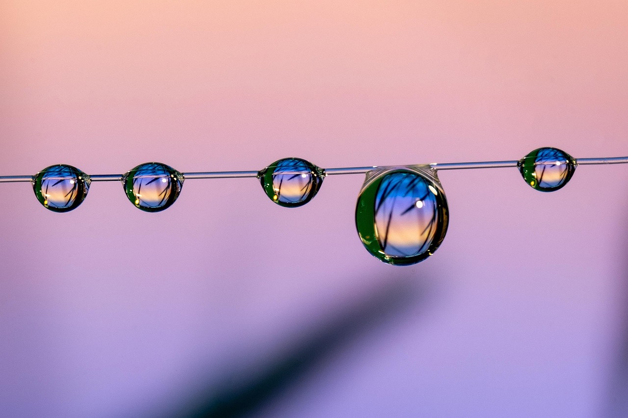 免费攻击网站|中羽注册账号密码