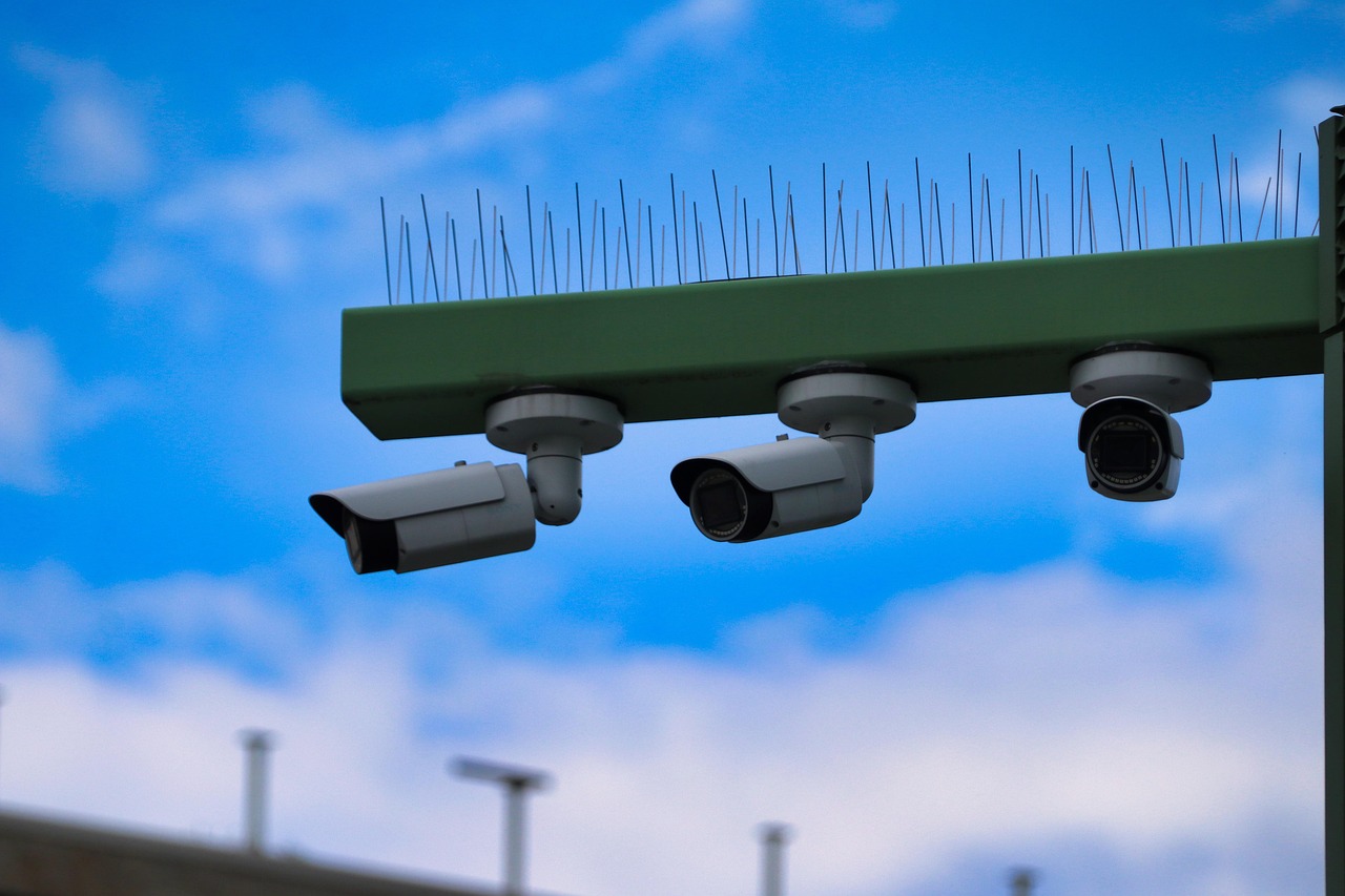 小鸟云实名账号：exness外汇平台代理