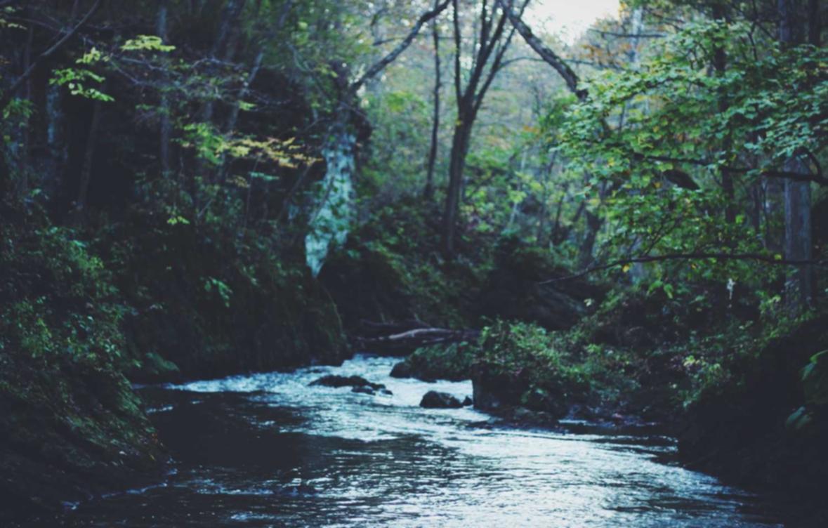 怎么查手机套餐- 高阳代理注册公司