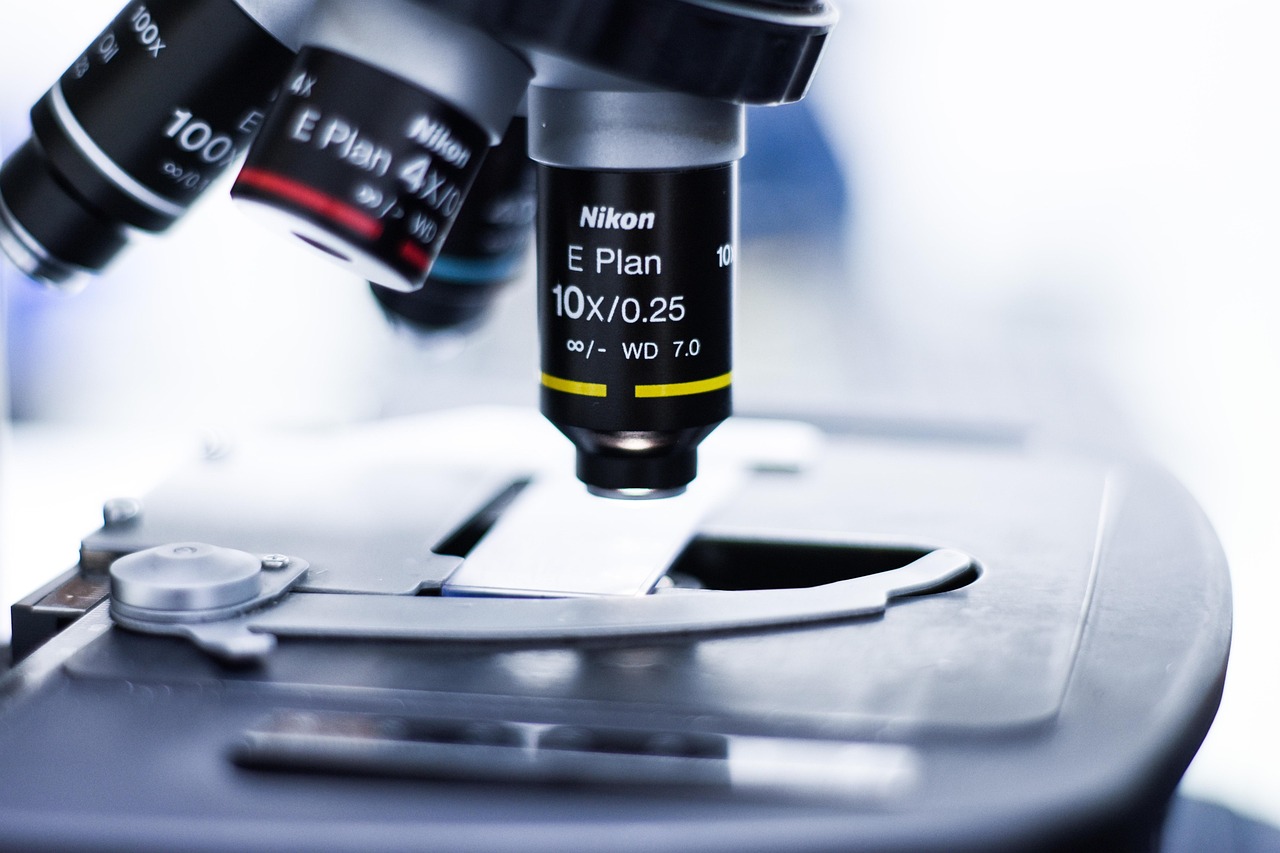 香烟和大脑核磁共振调查：吸烟者的大脑会有何方面的不同？