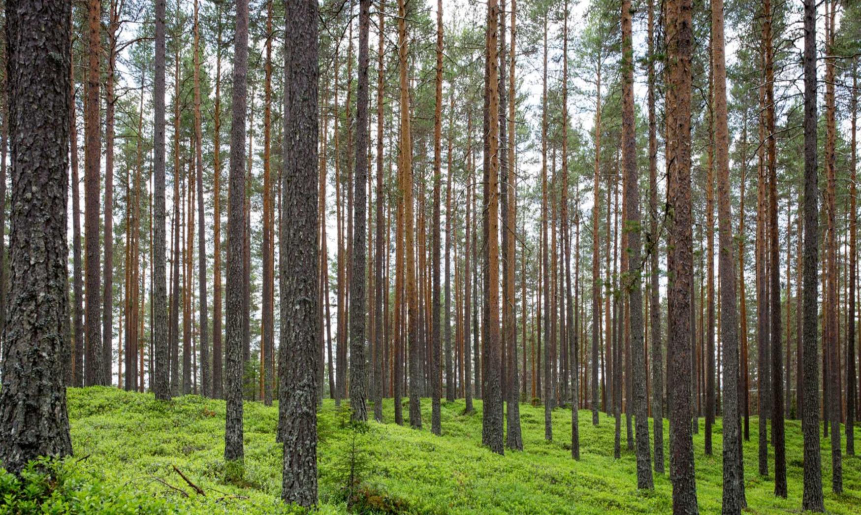 手机注册贴吧账号